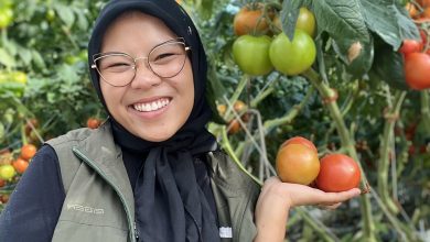 Cindy Anak Muda Indonesia Berprestasi Magang di New York Belajar Pertanian Modern 1 Magang di Bidang Pertanian