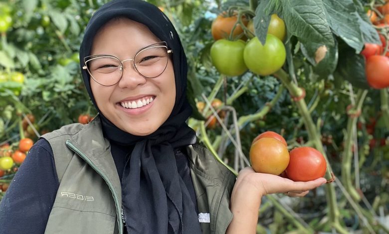 Cindy Anak Muda Indonesia Berprestasi Magang di New York Belajar Pertanian Modern 1 Magang di Bidang Pertanian
