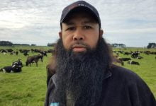 Kisah Inspiratif Dr.-Reza-Abdul-Jabbar Peternak Sapi